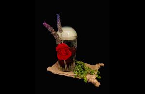 Pompa efímera de Bergamota by José Méndez.