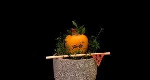 Homenaje a los conceptos de Flor de Caña