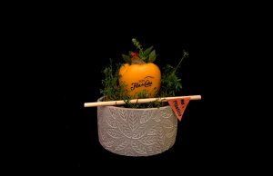 Homenaje a los conceptos de Flor de Caña