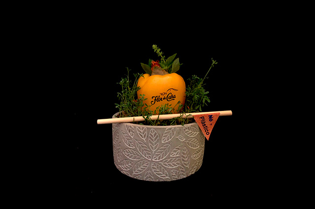 Homenaje a los conceptos de Flor de Caña