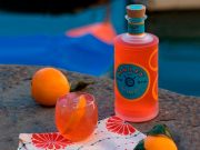 ESTE VERANO, TÚ ERES EL EXPERTO EN GIN TONIC