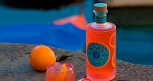 ESTE VERANO, TÚ ERES EL EXPERTO EN GIN TONIC