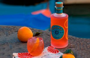 ESTE VERANO, TÚ ERES EL EXPERTO EN GIN TONIC