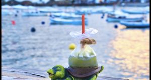 Save The Oceans, by Manel Vehi