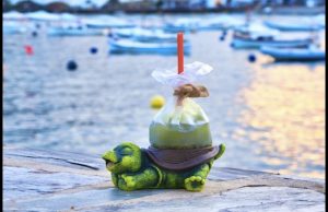 Save The Oceans, by Manel Vehi