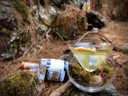 La negroni week en trago blanco by José Méndez