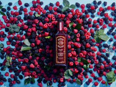 LLEGA BOMBAY BRAMBLE®
