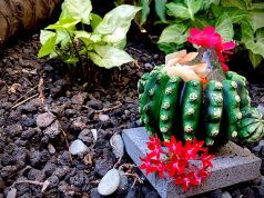 Lo intangible de la naturaleza by José Mendéz H10 Tenerife Playa