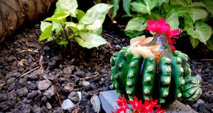 Lo intangible de la naturaleza by José Mendéz H10 Tenerife Playa