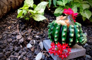 Lo intangible de la naturaleza by José Mendéz H10 Tenerife Playa