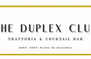 THE DUPLEX, proyecto Dany Morales