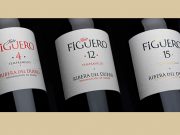 TINTO FIGUERO: LA ELEGANCIA DEL TEMPRANILLO.