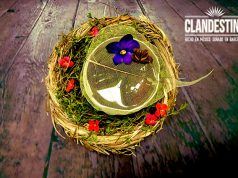 Hogar Clandestina by José Mendéz con Tequila Clandestina