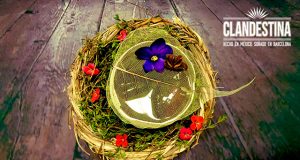 Hogar Clandestina by José Mendéz con Tequila Clandestina