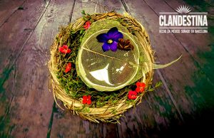 Hogar Clandestina by José Mendéz con Tequila Clandestina