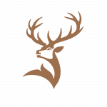 GF2019_STAG_ICON_RGB_LIGHT