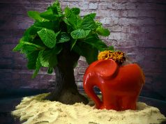 Cóctel memoria de Africa by José Méndez