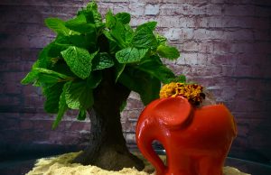 Cóctel memoria de Africa by José Méndez