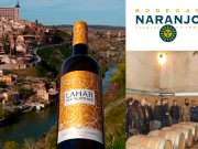 VOLCANIC WINE. CATA BY JAVIER MOLINA