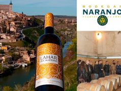 VOLCANIC WINE. CATA BY JAVIER MOLINA