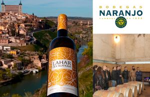 VOLCANIC WINE. CATA BY JAVIER MOLINA