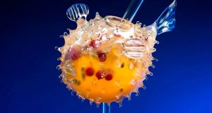 La importancia del neuromarketing en la coctelería