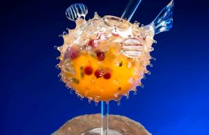 La importancia del neuromarketing en la coctelería