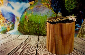 Mexico, Italia,Holanda y Japón con el mar como hoja de ruta