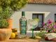 LARIOS PROVENZAL, LA NUEVA GINEBRA CON ESENCIAS HERBALES MEDITERRÁNEAS