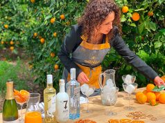 5 Cocteles con Vodka Amudsen