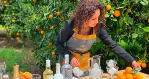 5 Cocteles con Vodka Amudsen