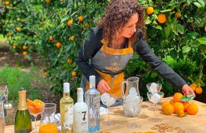 5 Cocteles con Vodka Amudsen