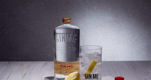 Día internacional del Gin con Amer Gourmet