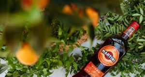 MARTINI LLAMA A RECONECTAR CON LOS AMIGOS Y A DISFRUTAR DE UN MARTINI FIERO & TONIC EN EL DÍA INTERNACIONAL DE LA AMISTAD