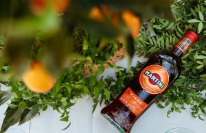 MARTINI LLAMA A RECONECTAR CON LOS AMIGOS Y A DISFRUTAR DE UN MARTINI FIERO & TONIC EN EL DÍA INTERNACIONAL DE LA AMISTAD