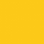 240781340_3891379557632942_1618918102588359878_n