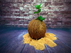 Coco Al estilo Caribeño con Dead Man Fingers