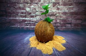 Coco Al estilo Caribeño con Dead Man Fingers