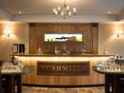 Aprendiendo a catar Whiskey. Bushmills