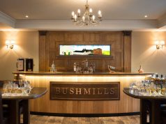 Aprendiendo a catar Whiskey. Bushmills