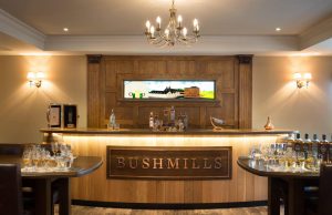 Aprendiendo a catar Whiskey. Bushmills