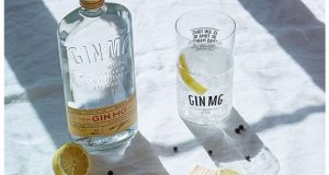 Gin Tonic: de medicina a bebida de moda. Día Internacional del Gin Tonic