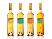 COLECCIÓN TÍO PEPE FINOS PALMAS 2021: LA SELECCIÓN DEL RESURGIMIENTO