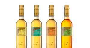 COLECCIÓN TÍO PEPE FINOS PALMAS 2021: LA SELECCIÓN DEL RESURGIMIENTO