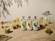 Seedlip, que beber cuando no estás bebiendo.