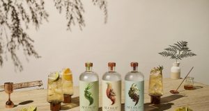 Seedlip, que beber cuando no estás bebiendo.