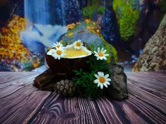 Resiliencia. Apoyo a la Palma