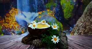 Resiliencia. Apoyo a la Palma