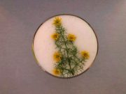 Aperitivo de navidad