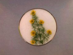 Aperitivo de navidad